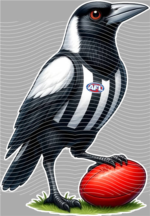 NBA and Team-QD 1391